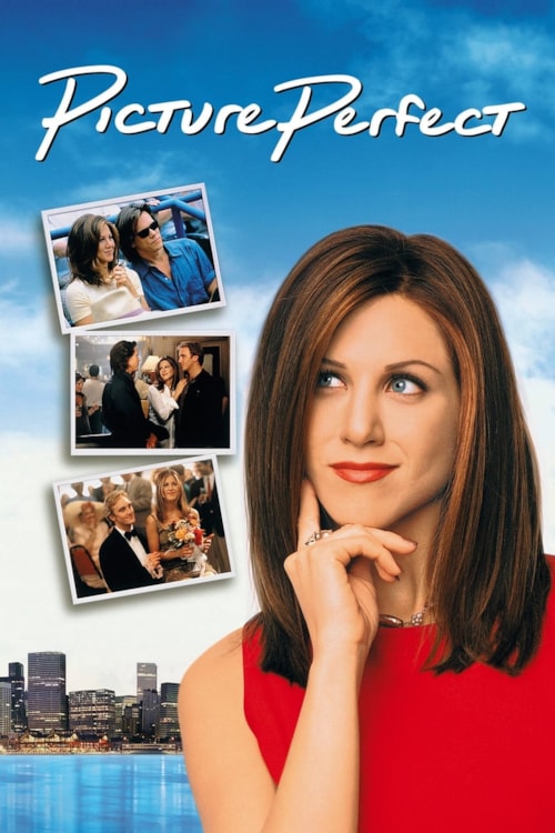 Picture Perfect poster